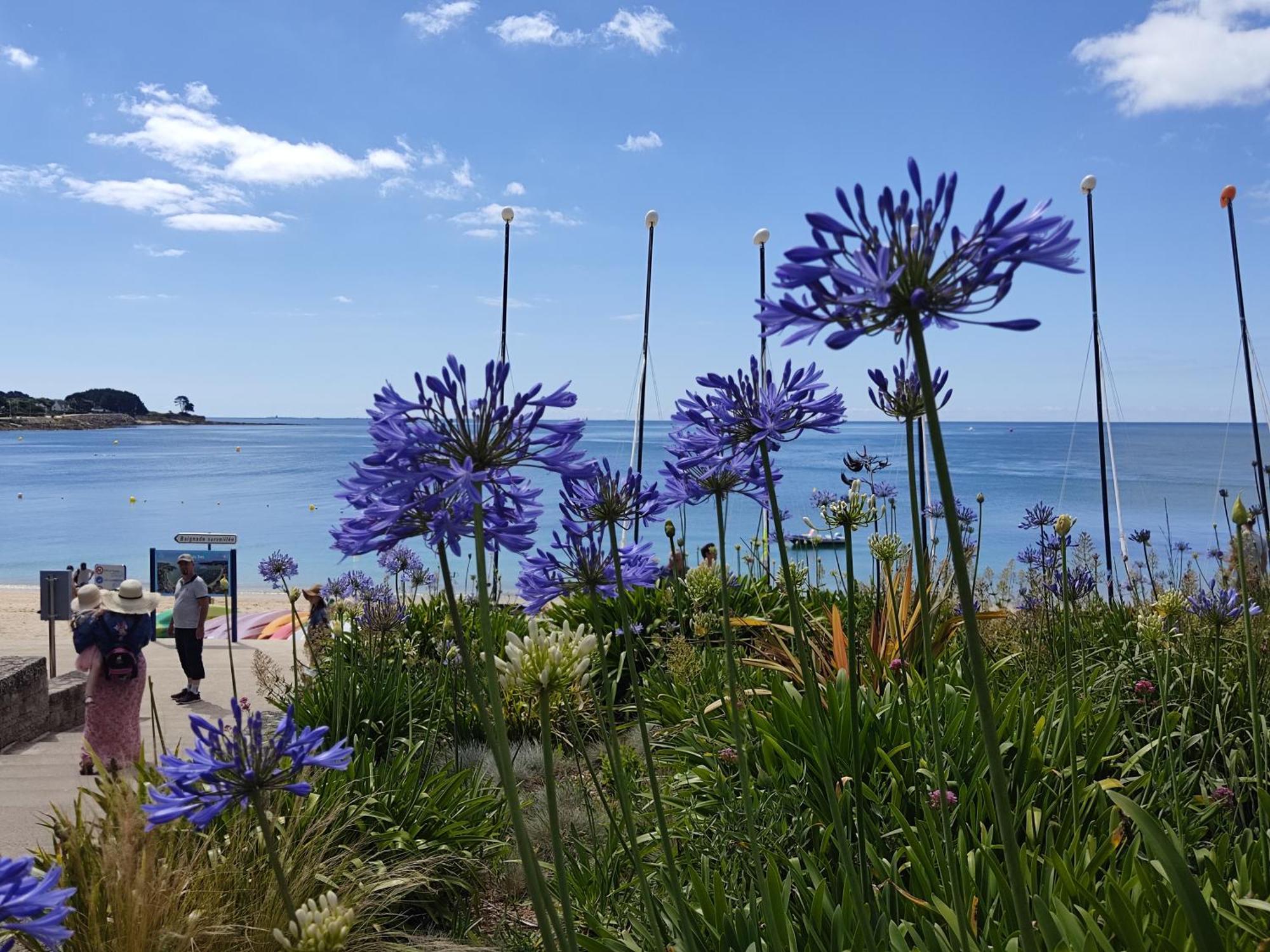 Camping De La Plage Benodet - 400 Metres De La Plage エクステリア 写真